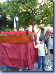 Cruz de mayo 2003 por las gradas de la Catedral / Foto: Francisco Santiago