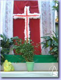 Cruz de Mayo AA. VV. Calle Vidrio 2004  / Foto: Francisco Santiago