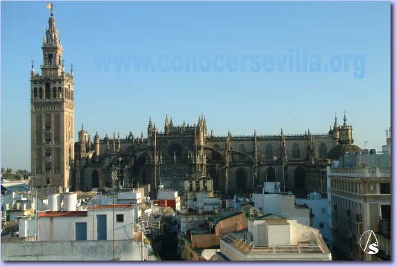 www.conocersevilla.org